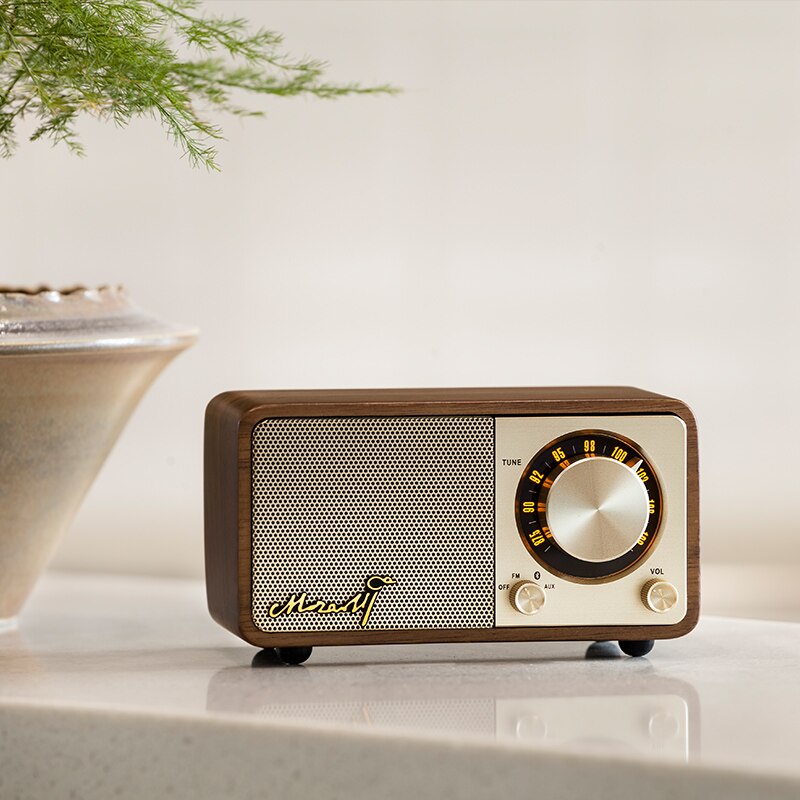 radio bluetooth speaker